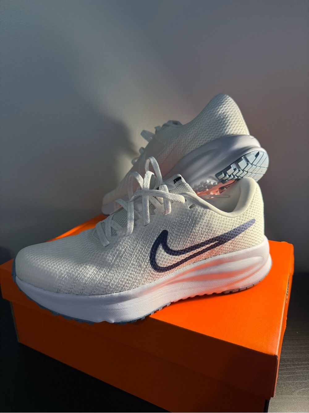 Nike Woman’s Run Defy